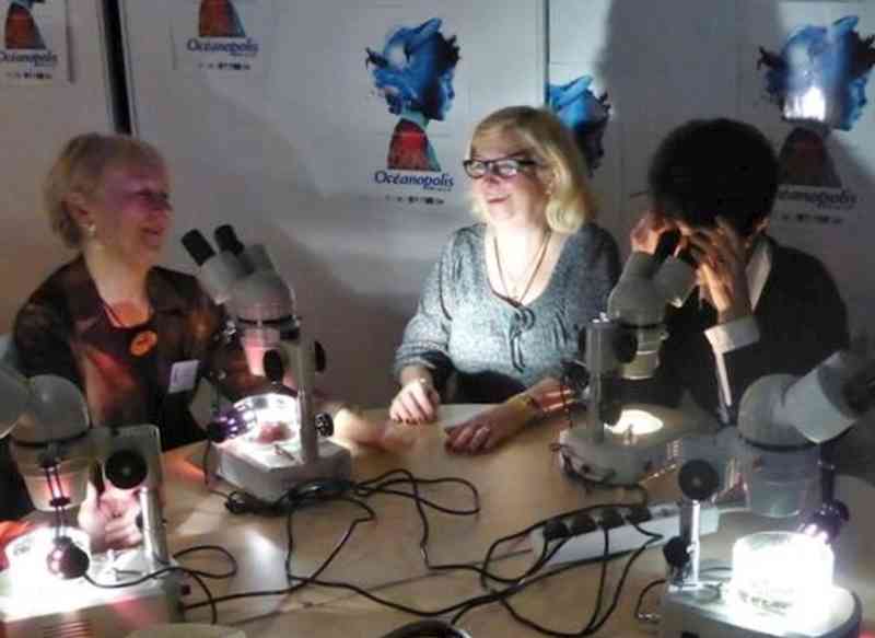 04_promo brest 158 (Morice).jpg - Jeux de lumières ?